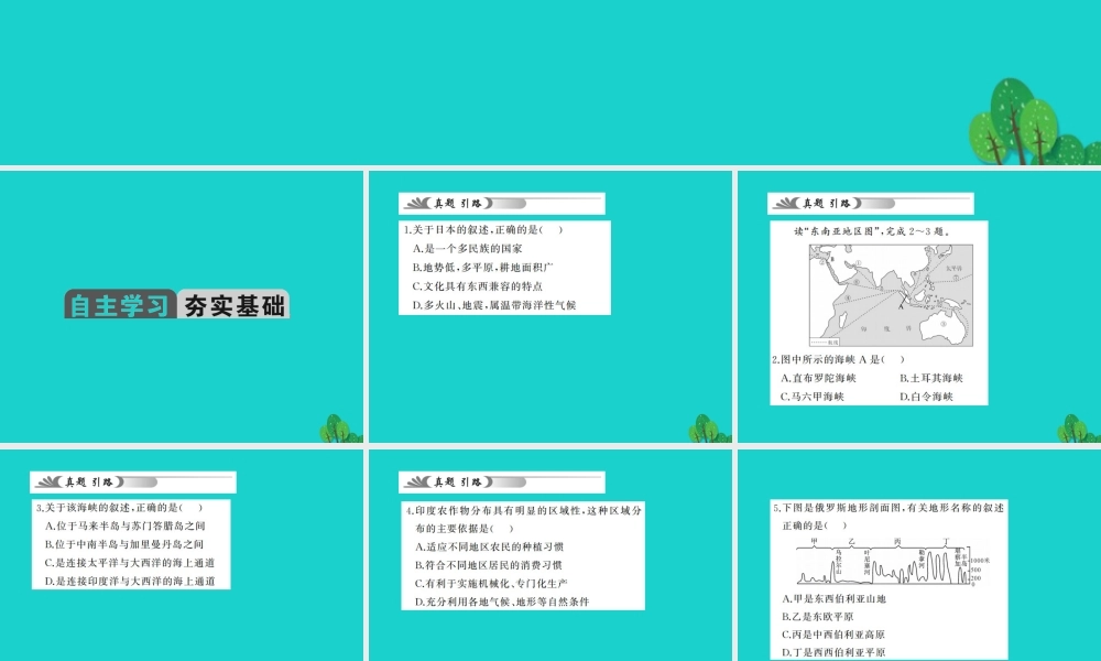 中考地理 教材考点系统化复习 第六章 我们邻近的国家和地区课件 新人教版 课件