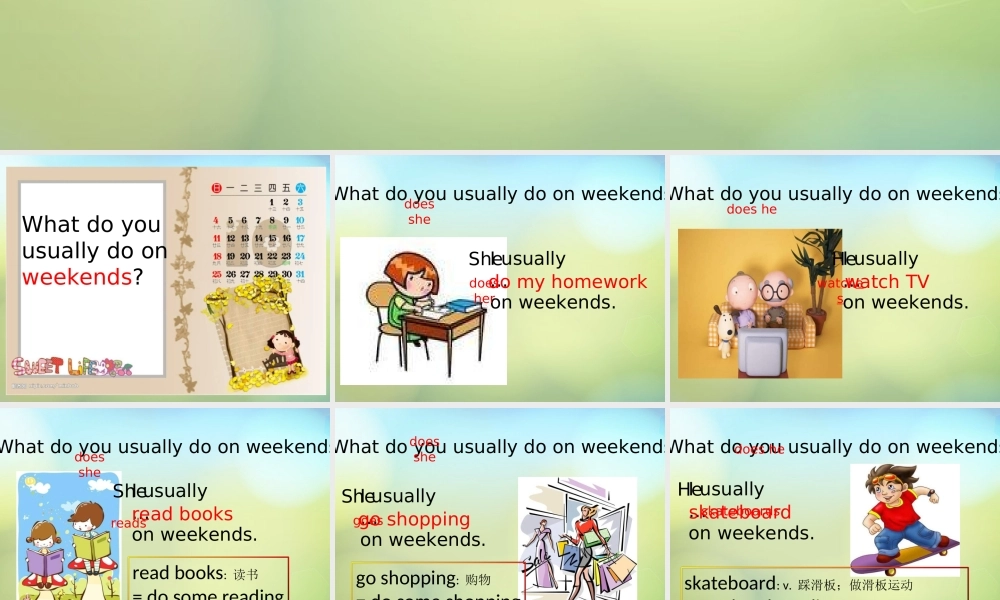 八年级英语上册(Unit 2 How often do you exercise Section A(1a 2b))课件 (新版)人教新目标版 课件