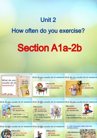 八年级英语上册(Unit 2 How often do you exercise Section A(1a 2b))课件 (新版)人教新目标版 课件