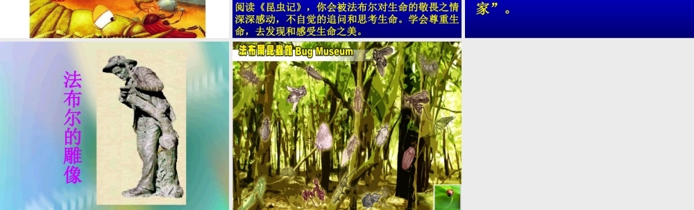 《装满昆虫的口袋》课件