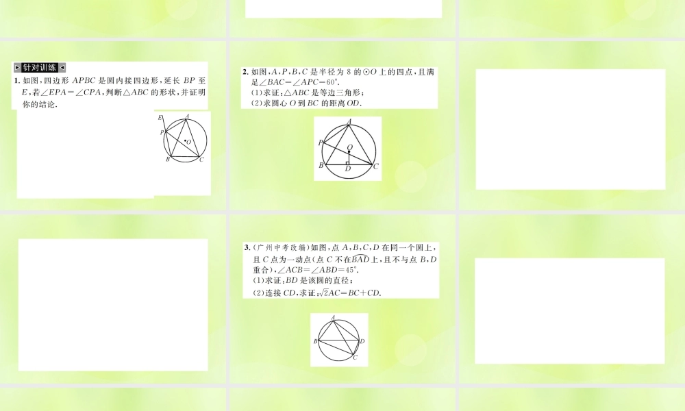 九年级数学上册 第二十四章 圆 小专题7 圆周角定理课件 (新版)新人教版 课件