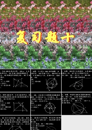 复习题十 初三数学复习题课件[整理十四套]人教版