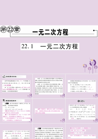 九年级数学上册 第22章 一元二次方程 221 一元二次方程课件 (新版)华东师大版 课件