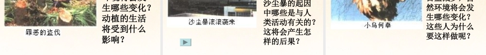 中学七年级生物下册 第四单元 7.1 分析人类活动破坏生态环境的实例课件 新人教版 课件