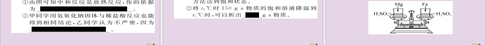 中考化学复习 第二编 重点题型突破篇 专题2 坐标曲线、图表、框图、标签题(精练)课件