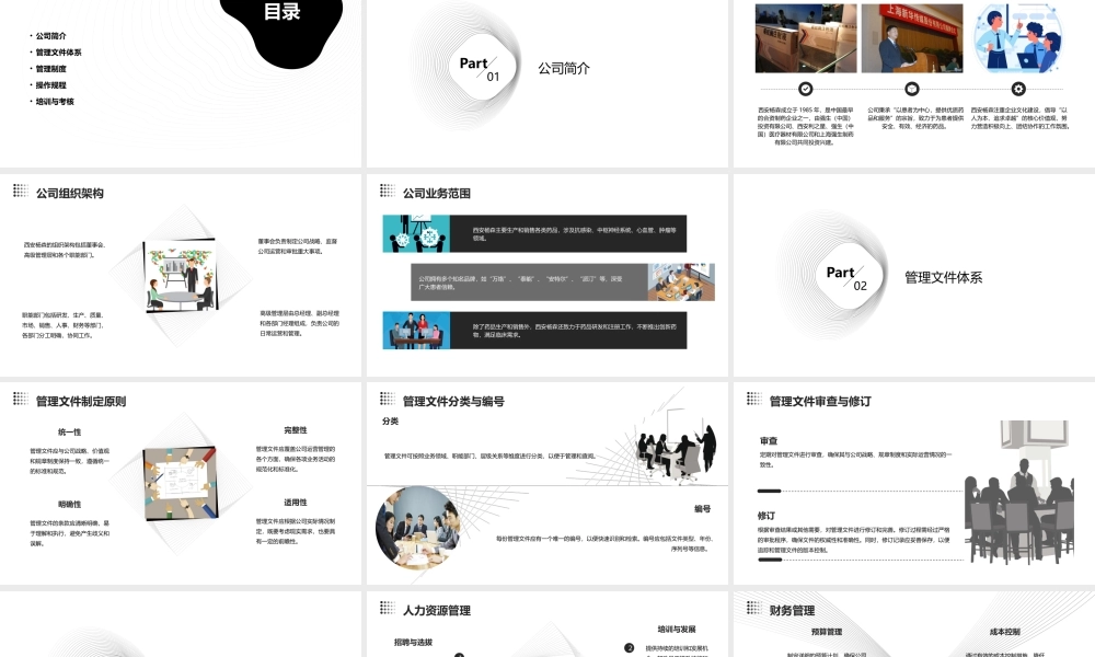 西安杨森管理文件课件