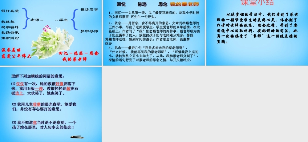 中学七年级语文上册(第6课 我的老师)课件 (新版)新人教版 课件