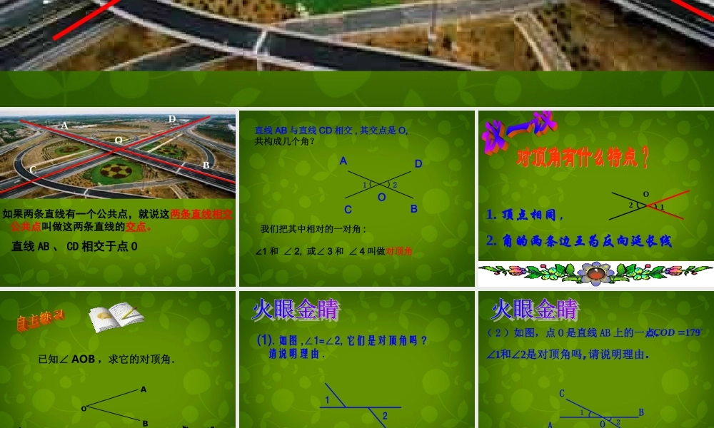 中学七年级数学上册 6.9 直线的相交课件1 (新版)浙教版 课件