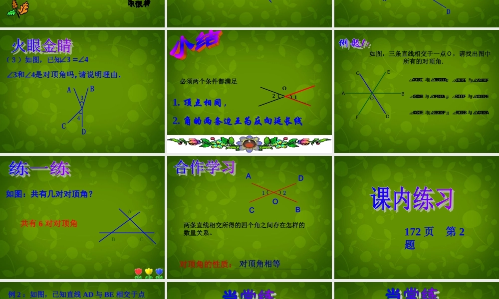 中学七年级数学上册 6.9 直线的相交课件1 (新版)浙教版 课件