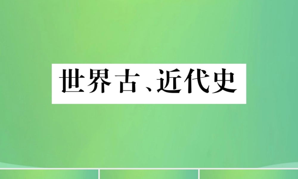 中考历史复习 第一篇 教材系统复习 4 世界古、近代史 第五学习主题 第二次工业革命与社会巨变及近代的科学与文艺习题课件