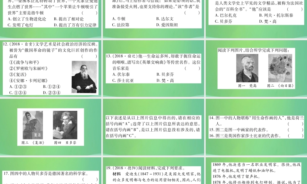中考历史复习 第一篇 教材系统复习 4 世界古、近代史 第五学习主题 第二次工业革命与社会巨变及近代的科学与文艺习题课件