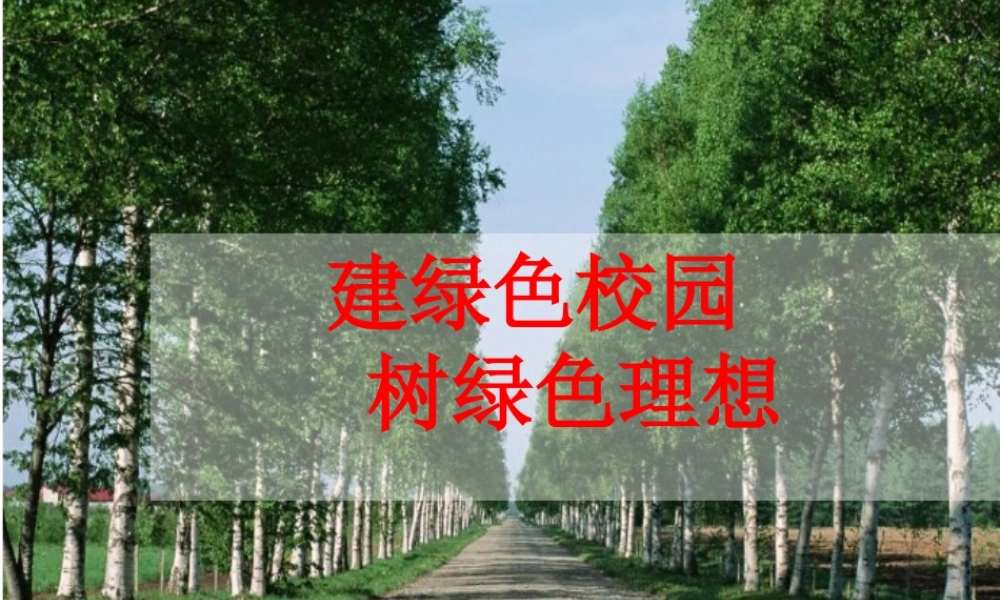 中学主题班会 节日类 植树节课件