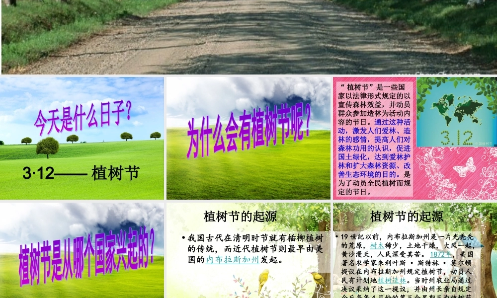 中学主题班会 节日类 植树节课件