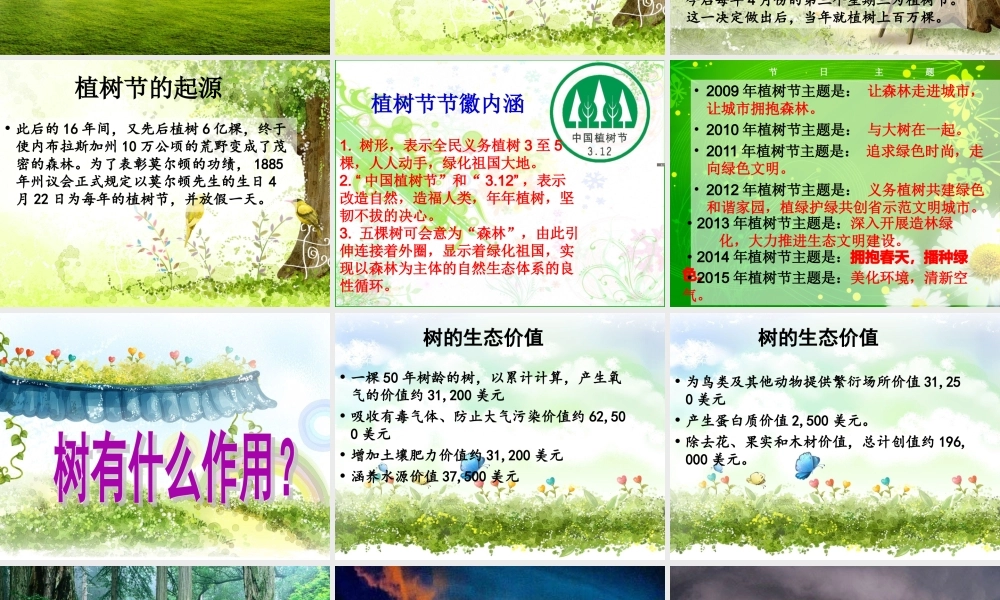 中学主题班会 节日类 植树节课件