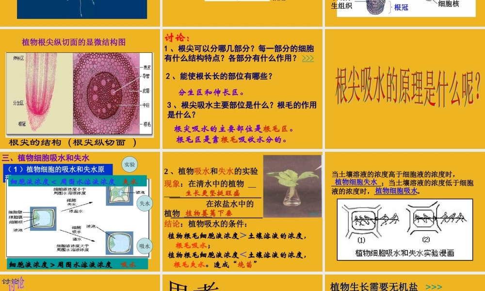 八年级科学下册 第二节：植物与土壤(第2课时) 课件 浙教版 课件