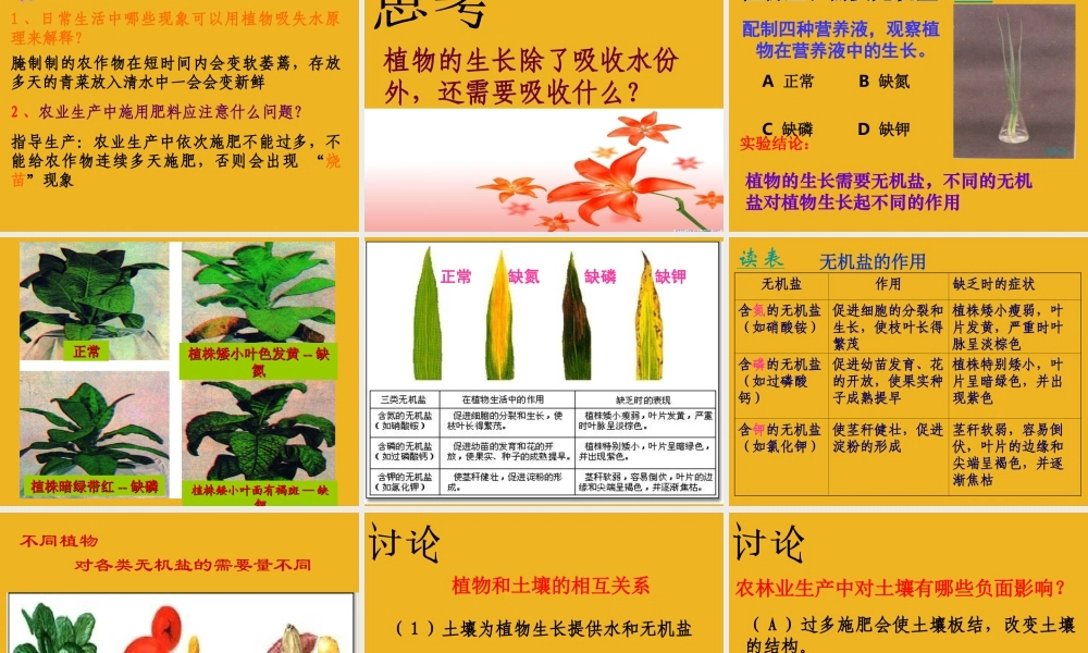 八年级科学下册 第二节：植物与土壤(第2课时) 课件 浙教版 课件