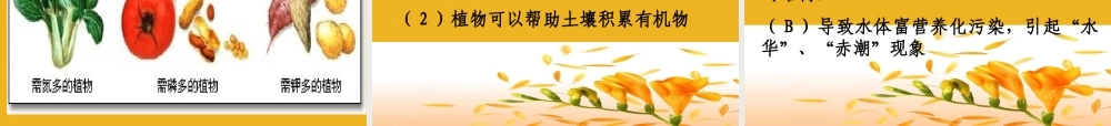 八年级科学下册 第二节：植物与土壤(第2课时) 课件 浙教版 课件
