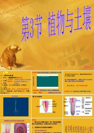 八年级科学下册 第二节：植物与土壤(第2课时) 课件 浙教版 课件