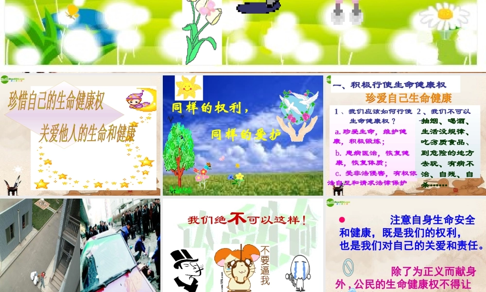 八年级政治下册 第三课(生命健康权与我同在)第二框课件 人教新课标版 课件