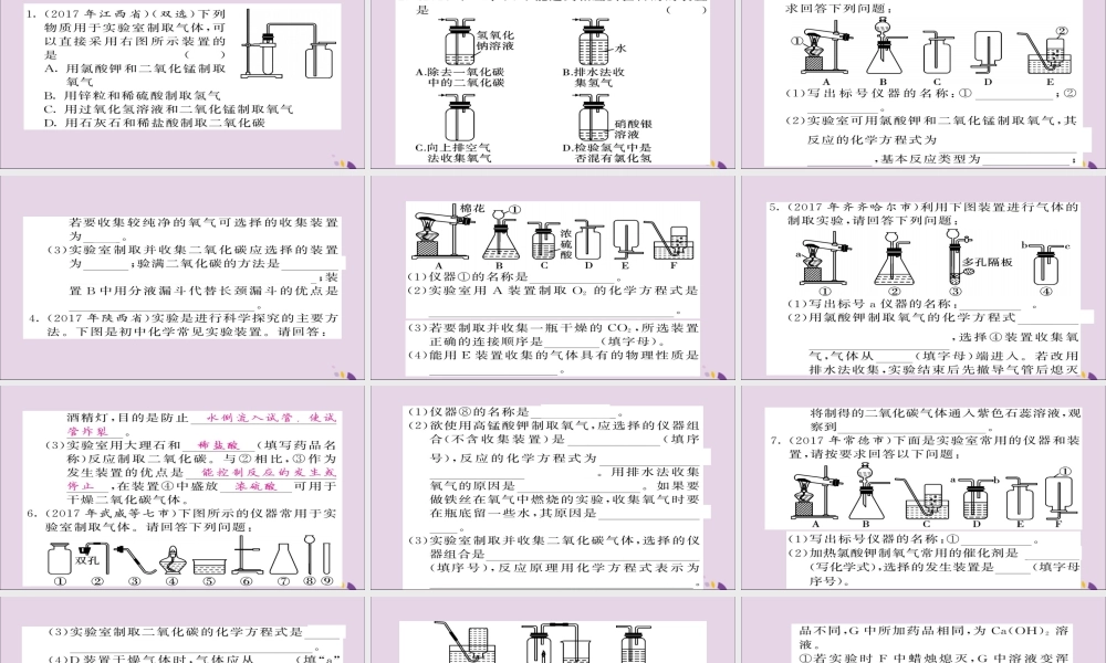 中考化学总复习 第二轮 专题训练 提升能力 专题五 气体的制取检验与净化练习课件