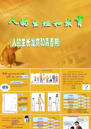 八年级科学下册 人的生长发育过程课件 华师大版 课件