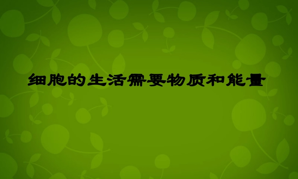 七年级生物上册 2.2.1 细胞的生活需要物质和能量课件2 新人教版 课件