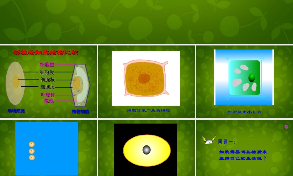 七年级生物上册 2.2.1 细胞的生活需要物质和能量课件2 新人教版 课件
