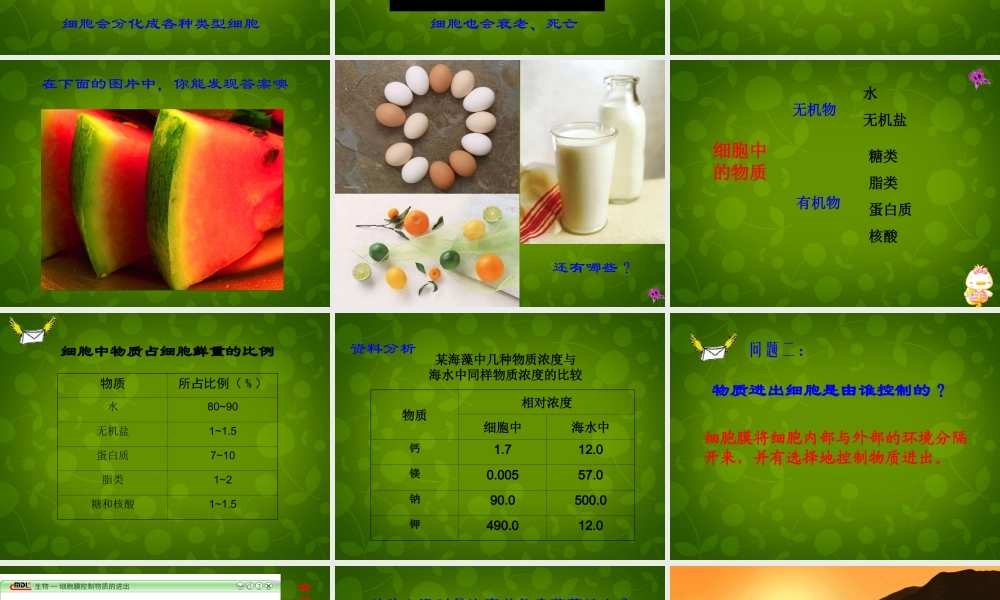 七年级生物上册 2.2.1 细胞的生活需要物质和能量课件2 新人教版 课件
