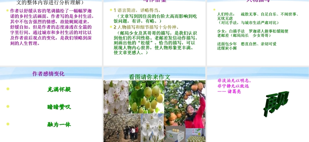 七年级语文下册(罗迦诺的乡村)课件 河大版 课件