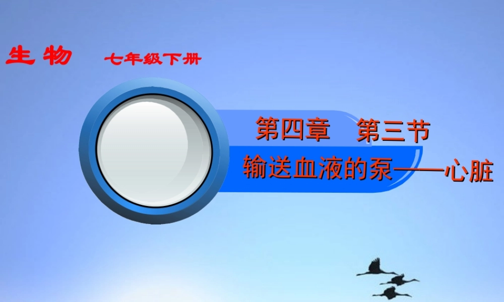 七年级生物下册 第三节 输送血液的泵课件 人教新课标版 课件