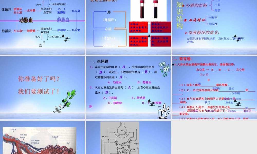 七年级生物下册 第三节 输送血液的泵课件 人教新课标版 课件