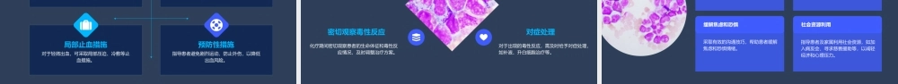 血液系统组织病理学之白血病护理课件