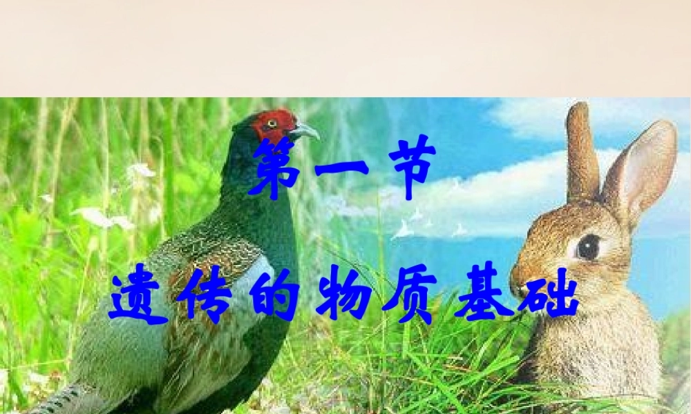 八年级生物上册 第四单元 第四章 第一节 遗传的物质基础课件 (新版)济南版 课件