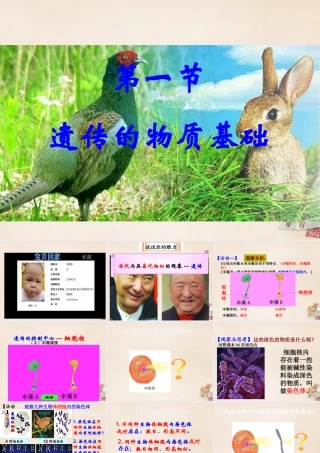 八年级生物上册 第四单元 第四章 第一节 遗传的物质基础课件 (新版)济南版 课件