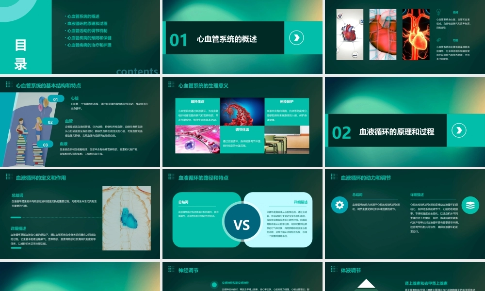 血液循环心血管活动的调解课件