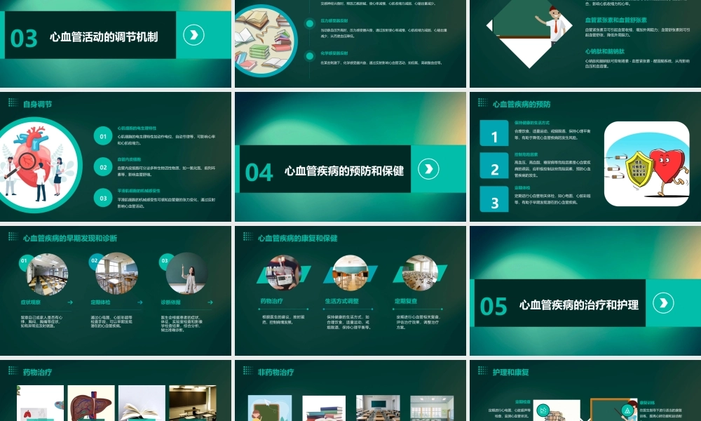血液循环心血管活动的调解课件