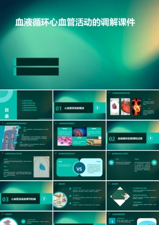 血液循环心血管活动的调解课件