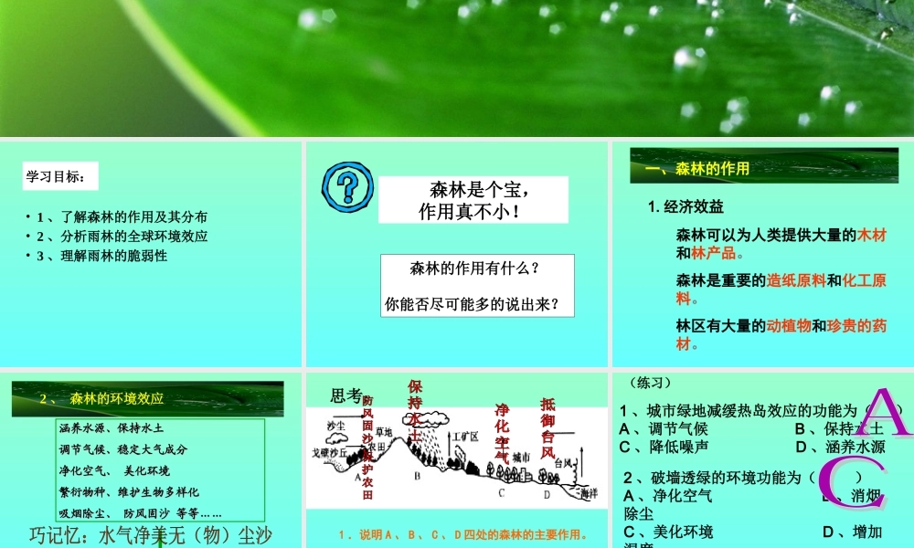 第一节森林的开发和保护(修改)