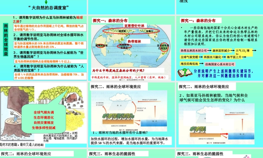 第一节森林的开发和保护(修改)