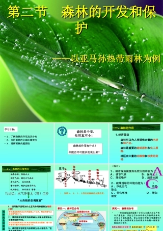 第一节森林的开发和保护(修改)