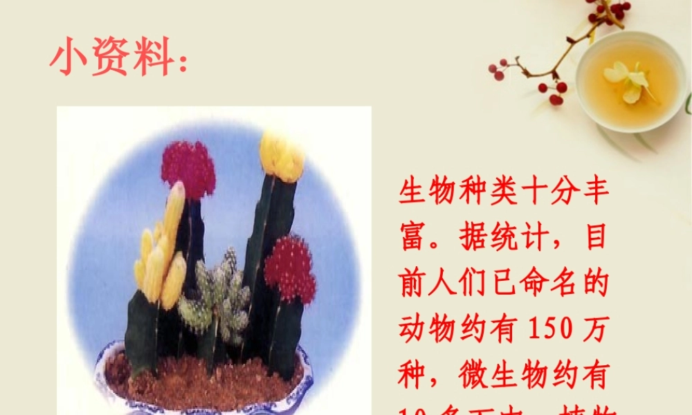 八年级生物上册 尝试对生物进行分类课件 人教新课标版 课件