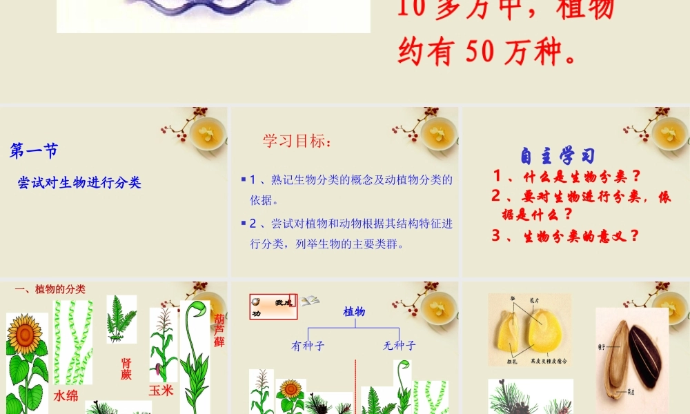 八年级生物上册 尝试对生物进行分类课件 人教新课标版 课件