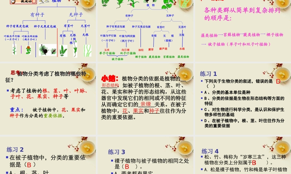 八年级生物上册 尝试对生物进行分类课件 人教新课标版 课件