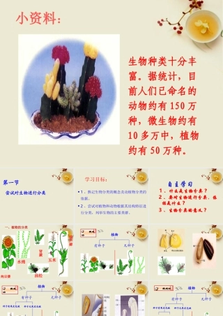 八年级生物上册 尝试对生物进行分类课件 人教新课标版 课件