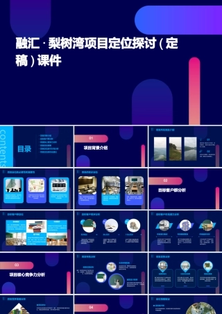 融汇·梨树湾项目定位探讨(定稿)课件