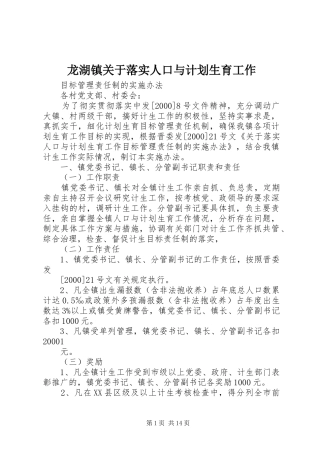 龙湖镇关于落实人口与计划生育工作