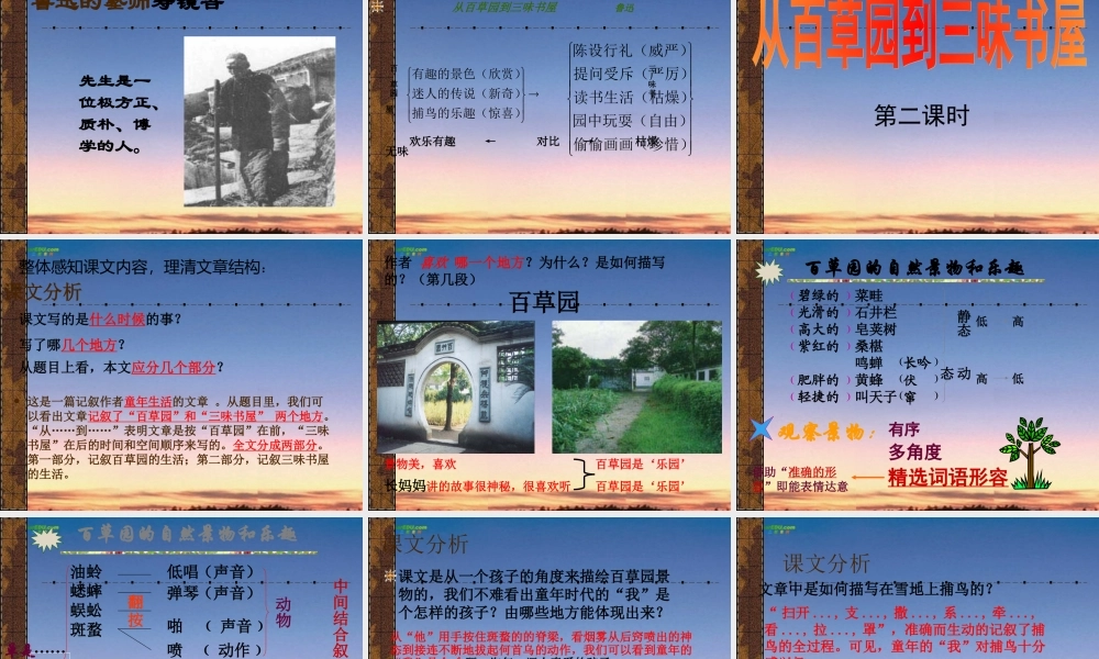 七年级语文上册(从百草园到三味书屋)课件 苏教版 课件