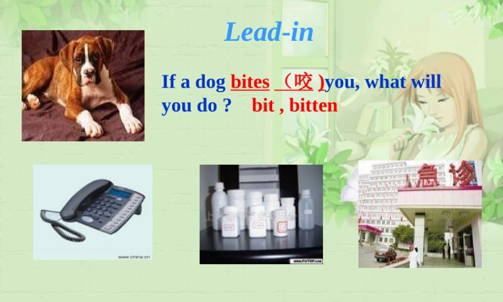 八年级英语下册 Modul4 unit2课件 外研版 课件