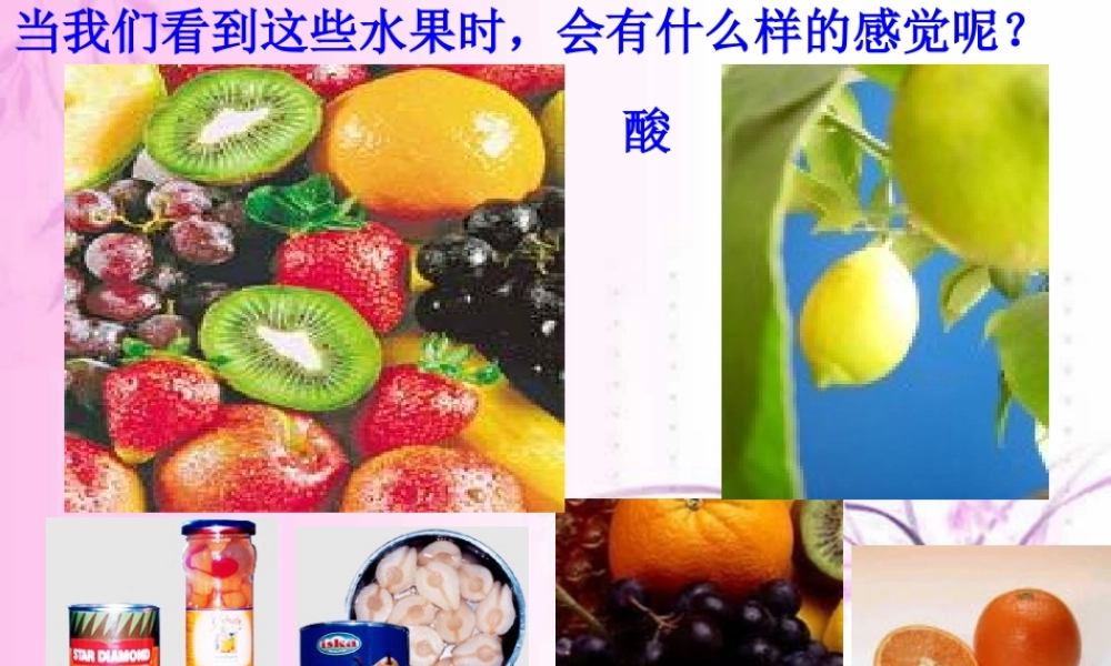 探索酸的性质第1课时 浙教版 课件