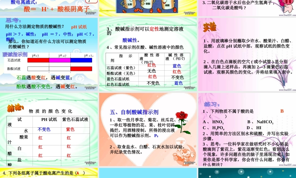 探索酸的性质第1课时 浙教版 课件